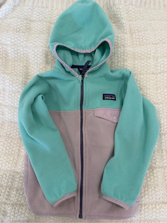Patagonia Other - Patagonia Kids' Micro Fleece Zip Up 4T